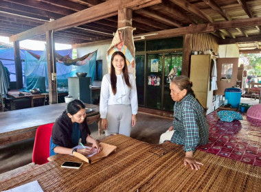 จัดเก็บข้อมูลการแก้ไขปัญหาหนี้ค้างชำระ ... พารามิเตอร์รูปภาพ 1